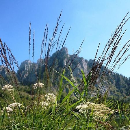 Appartamento Dachstein 7 Gosau Esterno foto