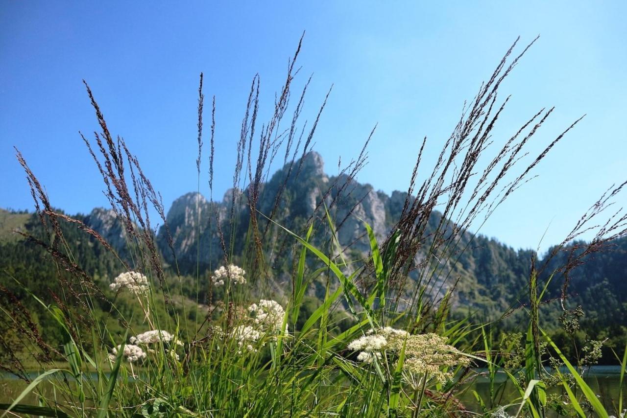 Appartamento Dachstein 7 Gosau Esterno foto